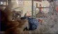 dr dolittle 3-avi_467.jpg